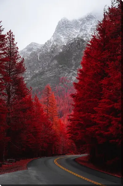 картина