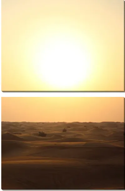 Модульная картина Яркое Солнце пустыни