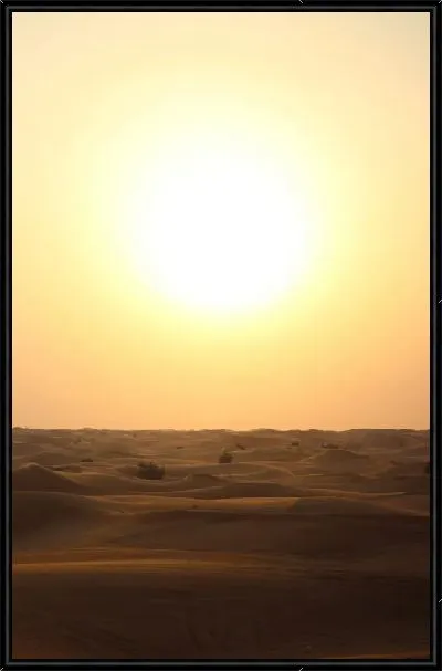 Картина Яркое Солнце пустыни