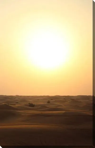 Постер Яркое Солнце пустыни