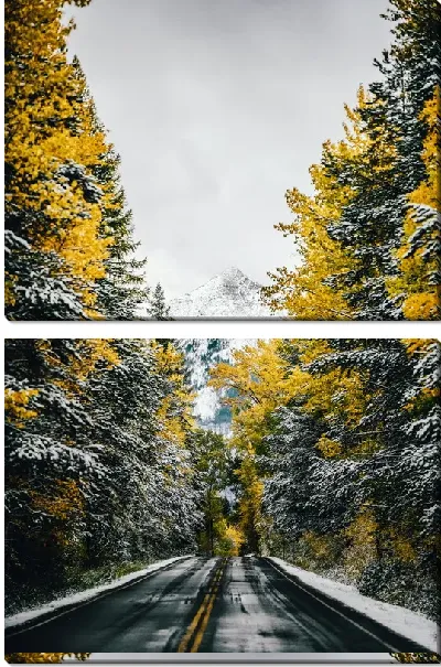 Модульная картина Дорога внутри живописного леса