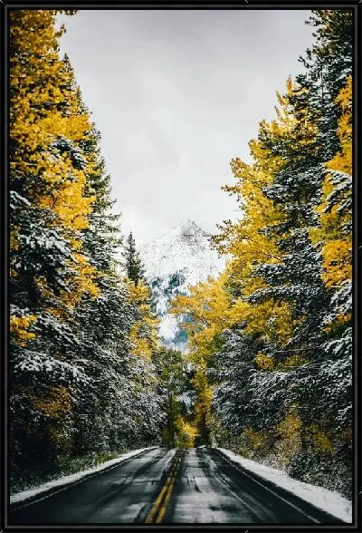 Картина Дорога внутри живописного леса