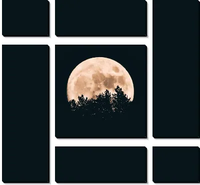 Модульная картина Луна над деревьями