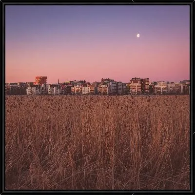 Картина Луна над городом и полем