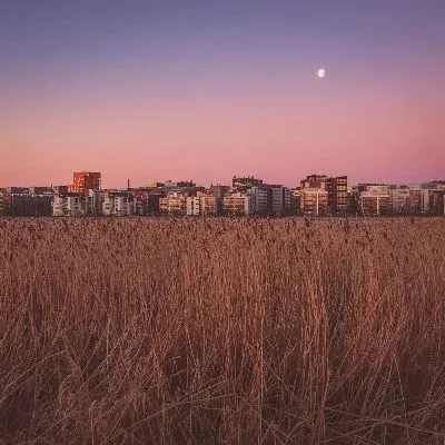шаблон id 99