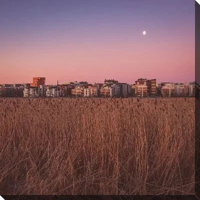 Постер Луна над городом и полем