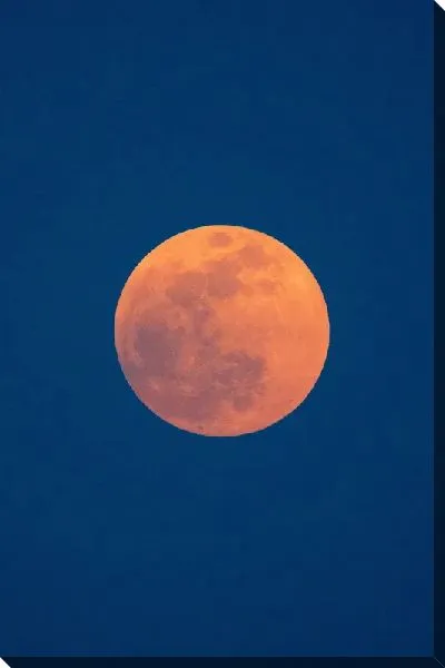 Постер Луна на синем фоне №2