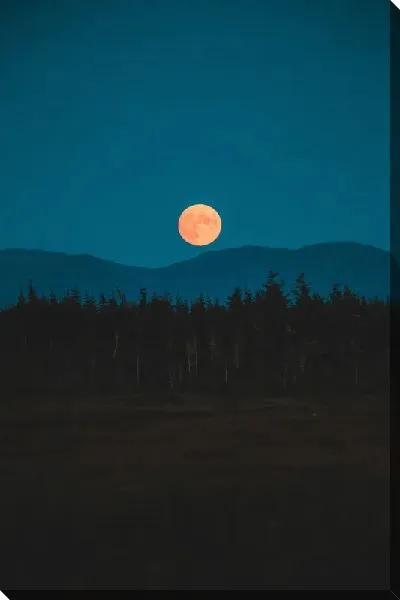 Постер Ночная луна над лесом и горами
