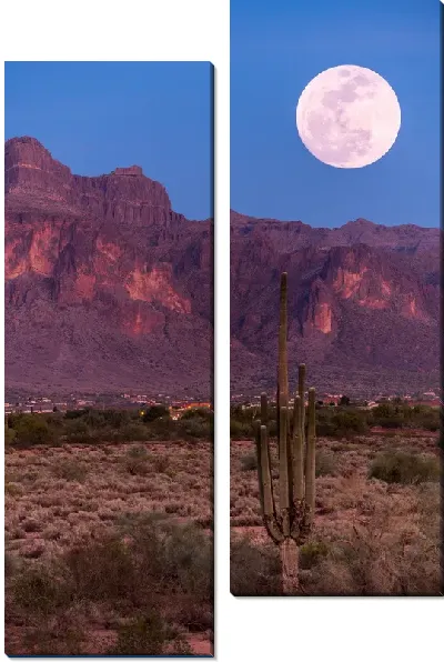 Модульная картина Кактус на фоне гор и Луны