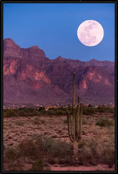 Картина Кактус на фоне гор и Луны