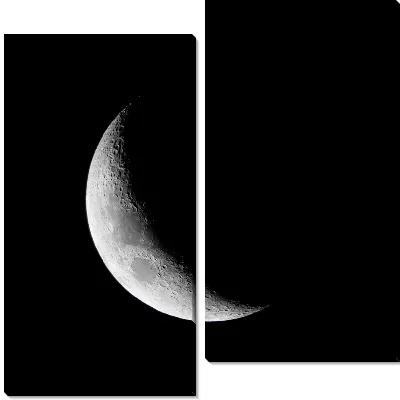 Модульная картина Черно-белая Луна