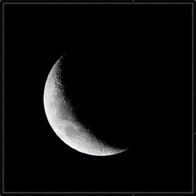 Картина Черно-белая Луна