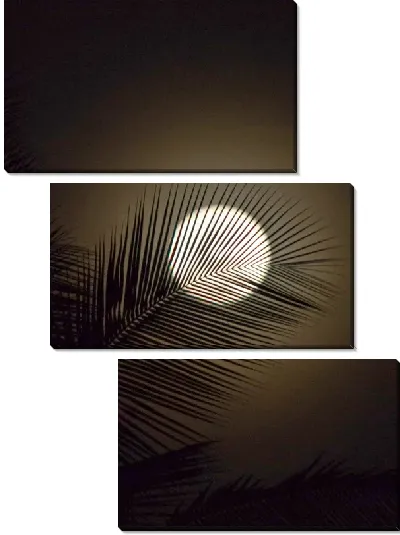 Модульная картина Луна и пальмовая ветвь