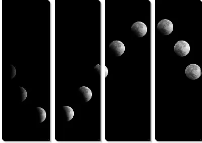 Модульная картина Лунный вираж