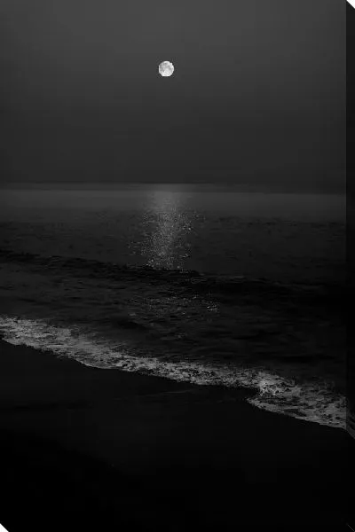 Постер Ночной морской пейзаж с Луной