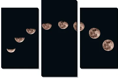 Модульная картина 8 видов Луны