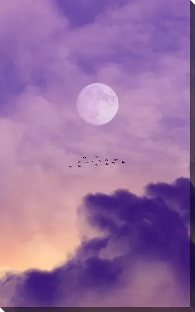 Постер Птицы под Луной