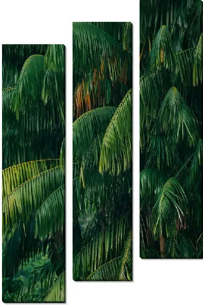Модульная картина Тропический лес
