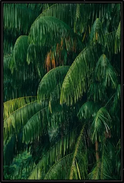 Картина Тропический лес