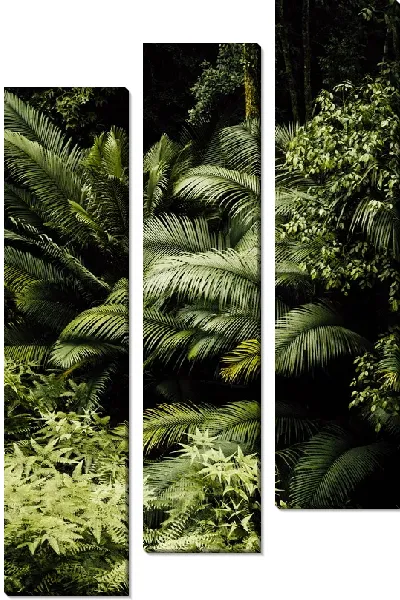 Модульная картина Тропический лес №7