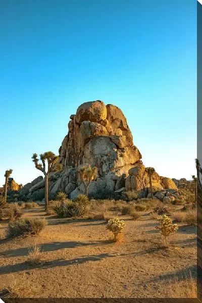 Постер Камни в пустыне