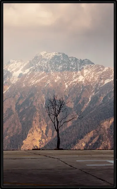 картина