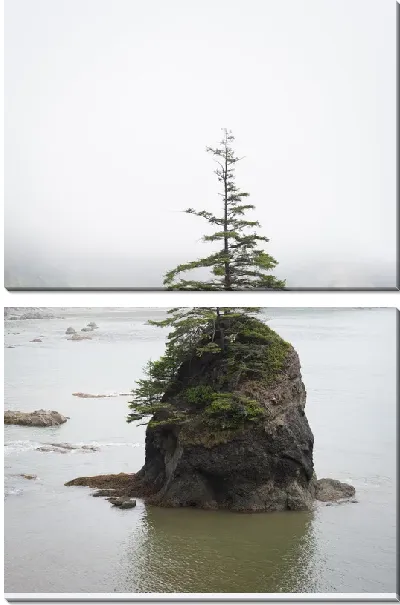 Модульная картина Дерево на камне посреди озера