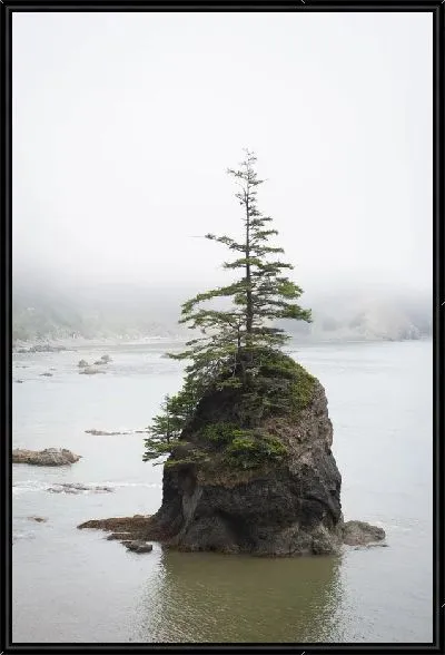 Картина Дерево на камне посреди озера