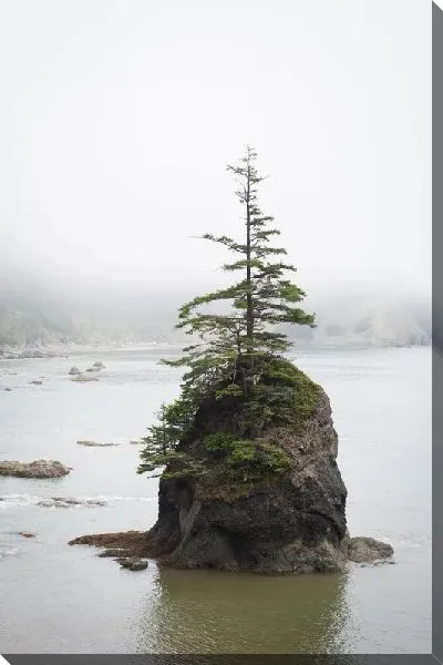 Постер Дерево на камне посреди озера