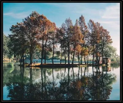 Картина Деревья с отражением в воде
