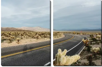 Модульная картина Трасса в пустыне