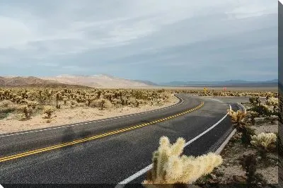 Постер Трасса в пустыне