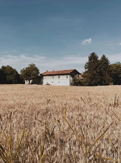 Плакат Деревенский пейзаж с домиком