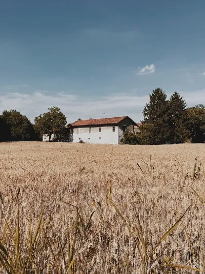 шаблон id 34