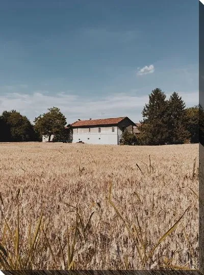 Постер Деревенский пейзаж с домиком