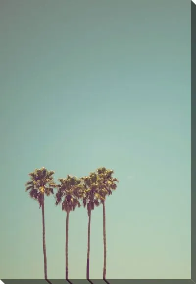 Постер Три пальмы в стиле минимализм
