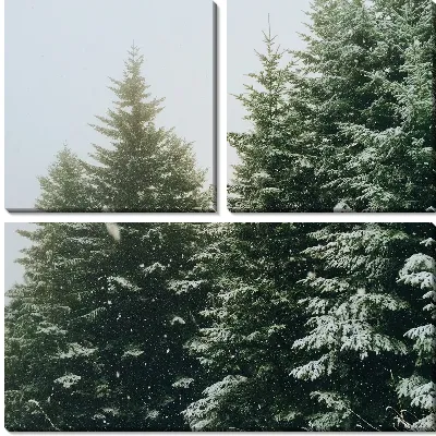 Модульная картина Зимний лес №10