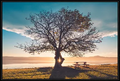 картина