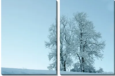 Модульная картина Зимний пейзаж с двумя деревьями