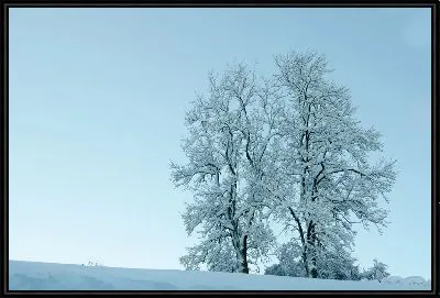 Картина Зимний пейзаж с двумя деревьями