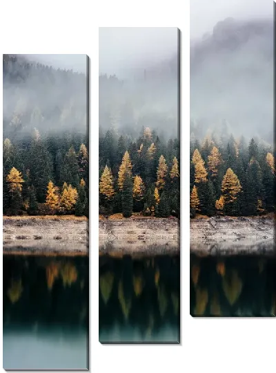 Модульная картина Озеро на фоне туманного леса