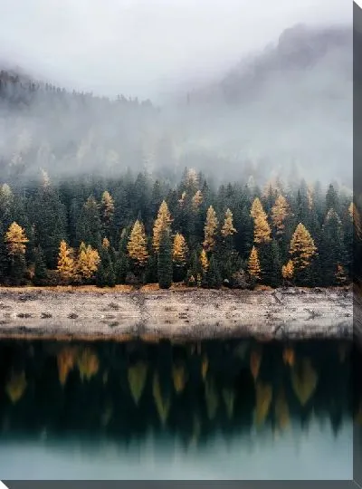Постер Озеро на фоне туманного леса
