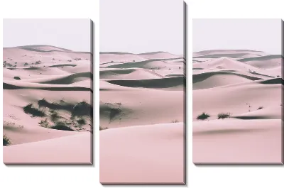 Модульная картина Барханы