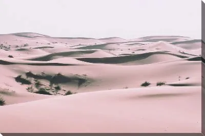 Постер Барханы