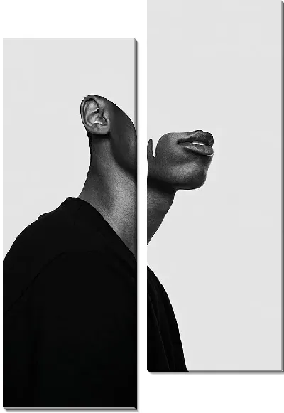 Модульная картина Мужской силуэт с частью лица