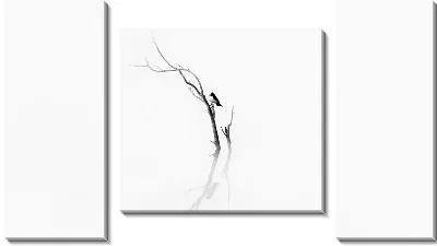 Модульная картина Птичка на ветке