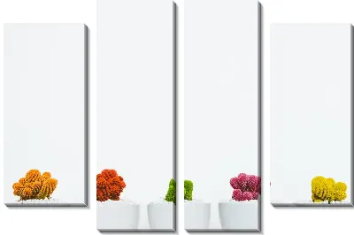 Разноцветные кактусы в горшках