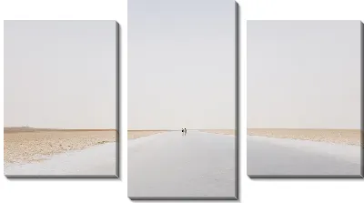 Модульная картина Прогулка по пустыне №2