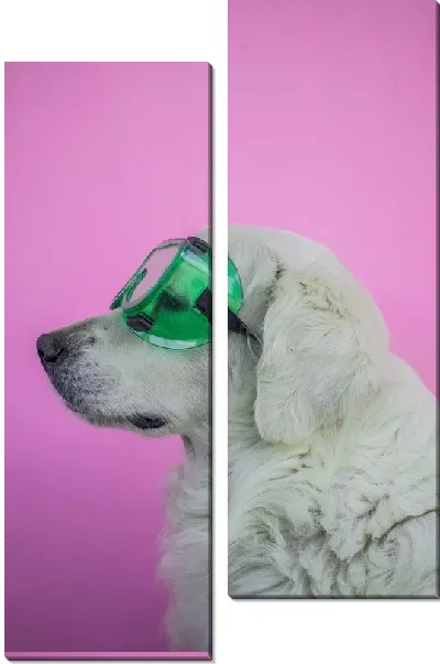Модульная картина Собака в зеленых очках