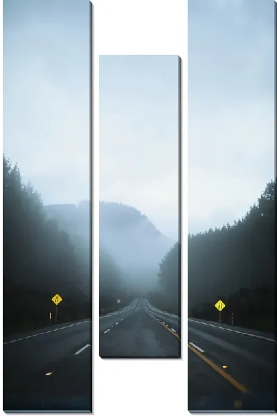 Модульная картина Туман и трасса